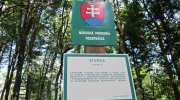 2014-07-01_06-vihorlat-048