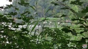 2014-08-10-jizni-morava-036-Large