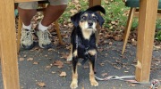 2014-09-20-chodnicky-011-Large
