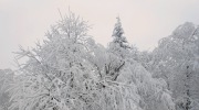 2015-01-31-lyze-solan-013-Large