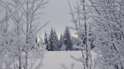 2015-01-31-lyze-solan-014-Large