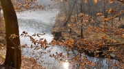 2015-03-21-den-vody-012-Large