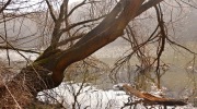 2015-03-21-den-vody-013-Large