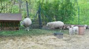 2015-05-02-cyklovylet-020
