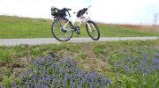 2015-05-02-cyklovylet-023