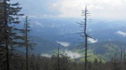 2015-05-10-124957-Large