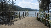 2015-07-sumava-020-Large
