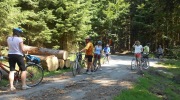2015-07-sumava-048-Large