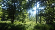 2015-07-sumava-085-Large