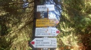 2015-07-sumava-089-Large