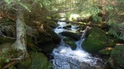 2015-07-sumava-097-Large
