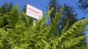 2015-07-sumava-100-Large