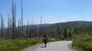 2015-07-sumava-109-Large