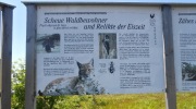 2015-07-sumava-111-Large