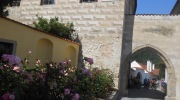 2015-07-sumava-119-Large
