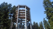 2015-07-sumava-136-Large