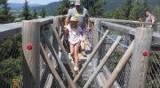 2015-07-sumava-139-Large