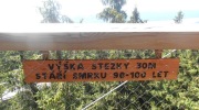 2015-07-sumava-144-Large