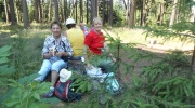 2015-07-sumava-157-Large