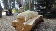 2015-07-sumava-159-Large