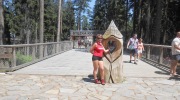 2015-07-sumava-160-Large
