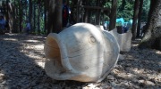 2015-07-sumava-161-Large