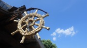 2015-07-sumava-209-Large