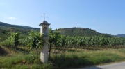 2015-07-sumava-215-Large