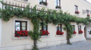 2015-07-sumava-226-Large