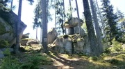 2015-07-sumava-261-Large