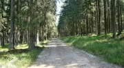 2015-07-sumava-267-Large