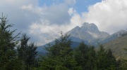 2015-08-06-112516-Large