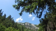 2015-08-06-125312-Large