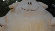 2015-08-06-164617-Large