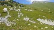 2015-08-07-110618-Large