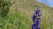 2015-08-07-121009-Large