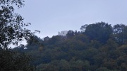2015-09-19-113041-Large
