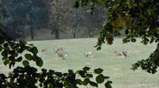 2015-09-19-115927-Large