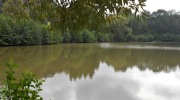 2015-09-19-123842-Large