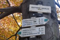 2015-10-27 Javorový