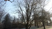 2016-12-30_105732