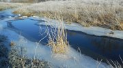 2016-12-30_111032