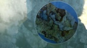 2017-01-01_152413-Large