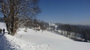 2017-01-07_124539-Large