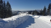 2017-01-07_134129-Large