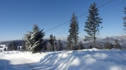 2017-01-07_134222-Large