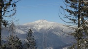 2017-01-07_134238-Large