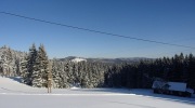 2017-01-07_142502-Large