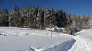 2017-01-07_142512-Large