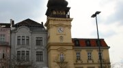 IMG_8454